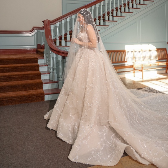 Steven Khalil Jaz Wedding Gown - Picture 15 of 16